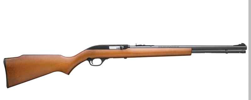 WTB Pre 1970s 22LR Rifle