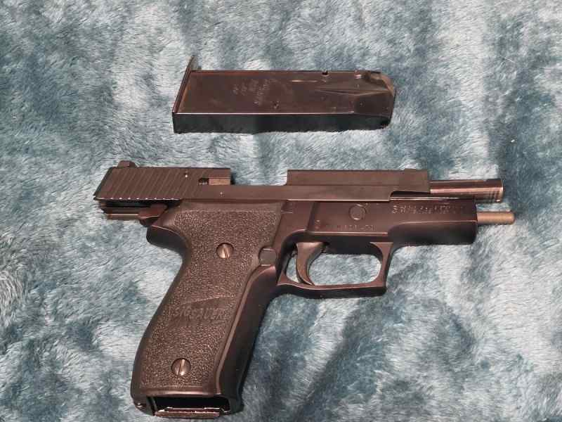 Sig p226 in 40 cal