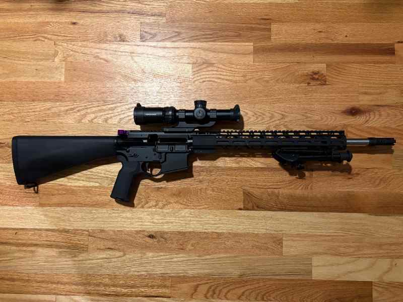 AR  /  DMR in .233 Wilde 