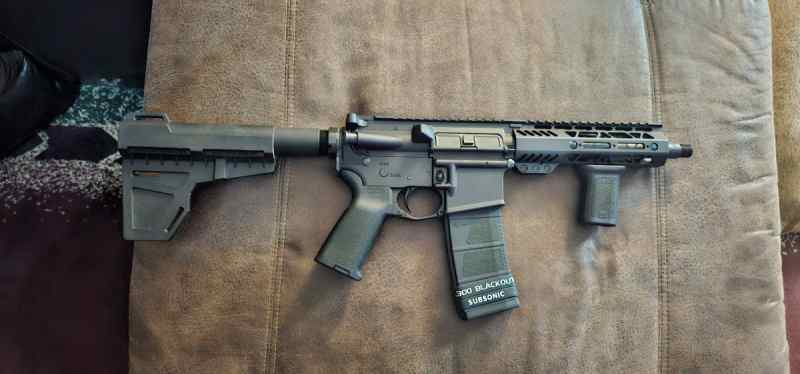 Palmetto 300 blackout