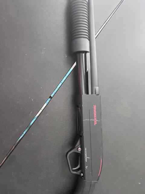 Winchester sxp defender 