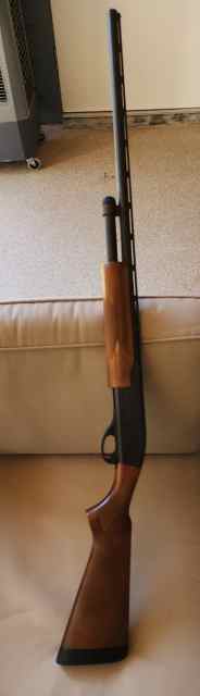 Remington 870 20 ga.  (Very good condition)