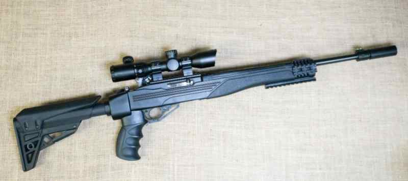 Ruger 10/22 With ATI Folding Stock