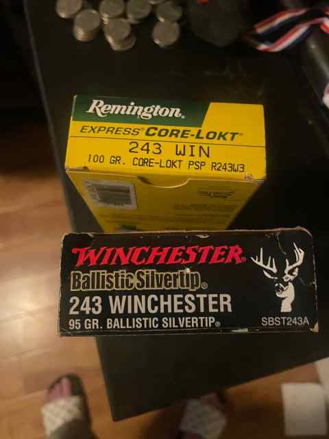 Winchester/remington .243 ammo