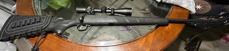 Savage model 11 .308