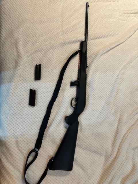 Looking to trade 22LR for 17hmr