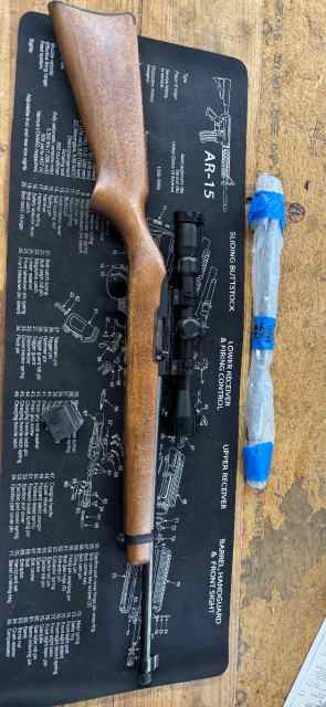 Ruger 10/22