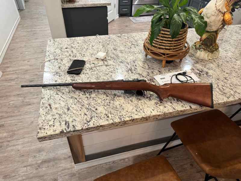 CZ 527 22 Hornet