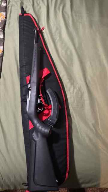 Ruger 10/22