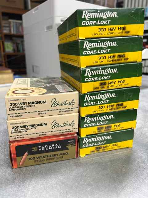 300 Weatherby Magnum - 180 rds total