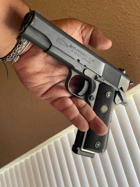 Auto ordnance 1911/Colt new service 45 Lc 