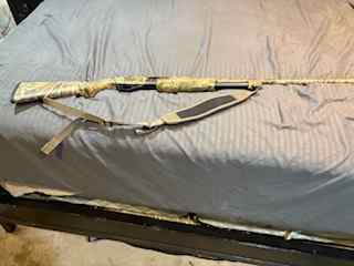 stoeger 2.jpg
