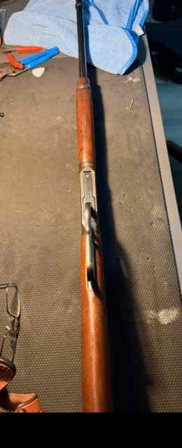 IMG_1233.jpeg