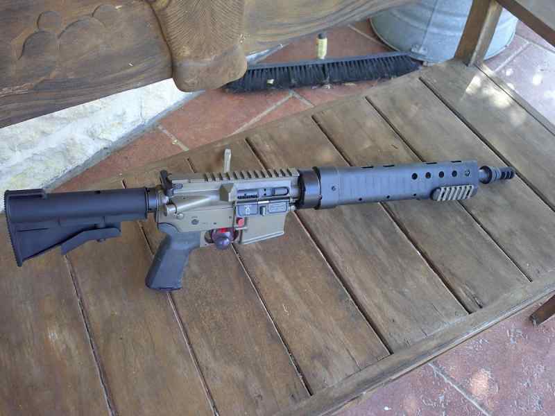 Bushmaster AR-15 Custom PRI Carbon Walking Dead