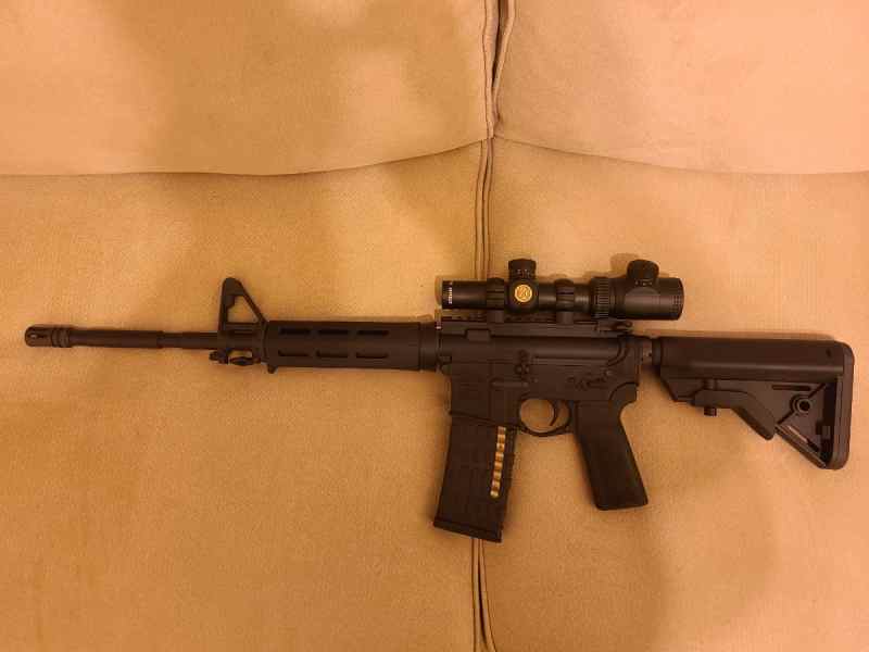 16 in Starter AR Rifle 