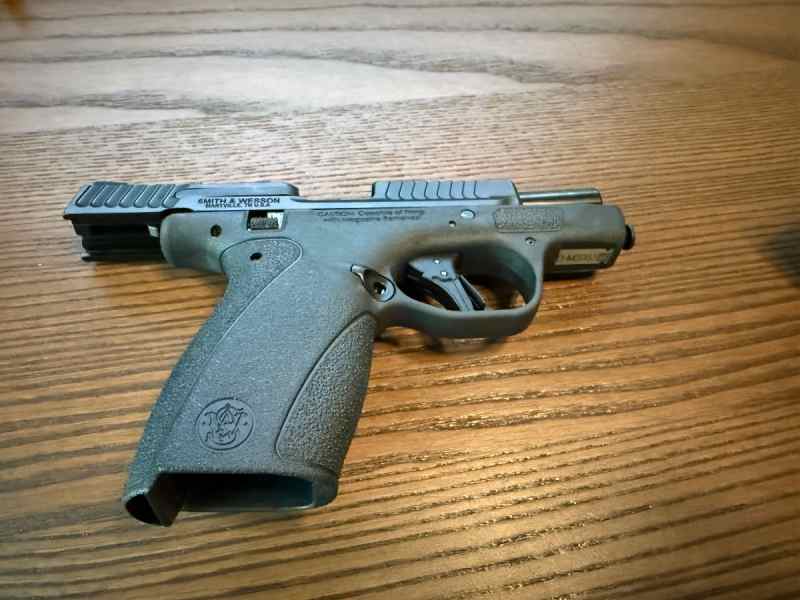 S&amp;W Bodyguard 2.0