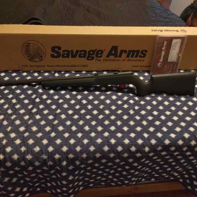 SAVAGE 93R 17 TR 17HMR w/ AMMO