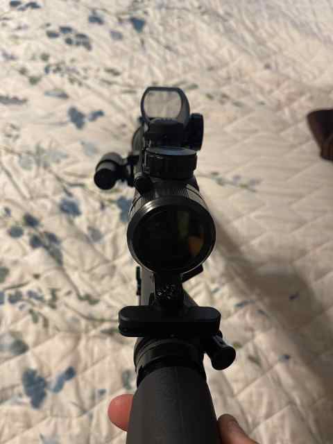 AR Scoped.jpg