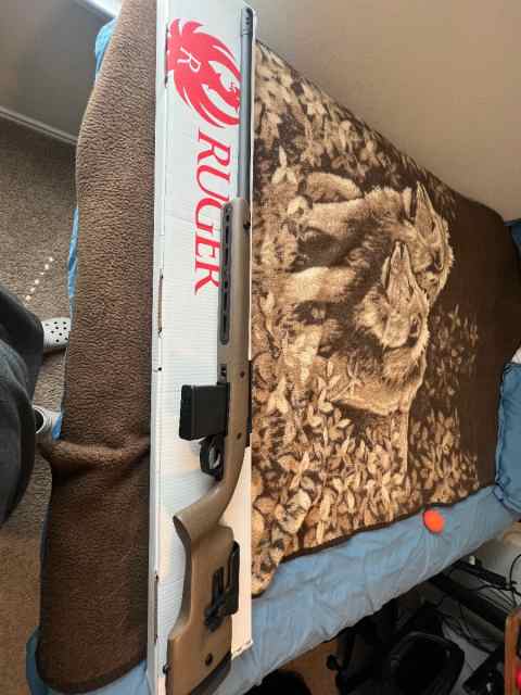 Ruger 308