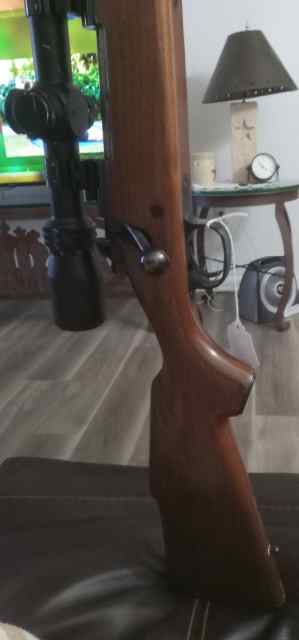 Resized_20250619_105239.jpeg