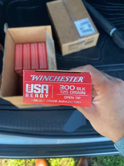 Winchester 300BLK 125gr