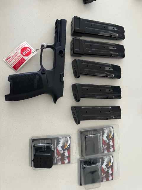 Sig P320 Professional 