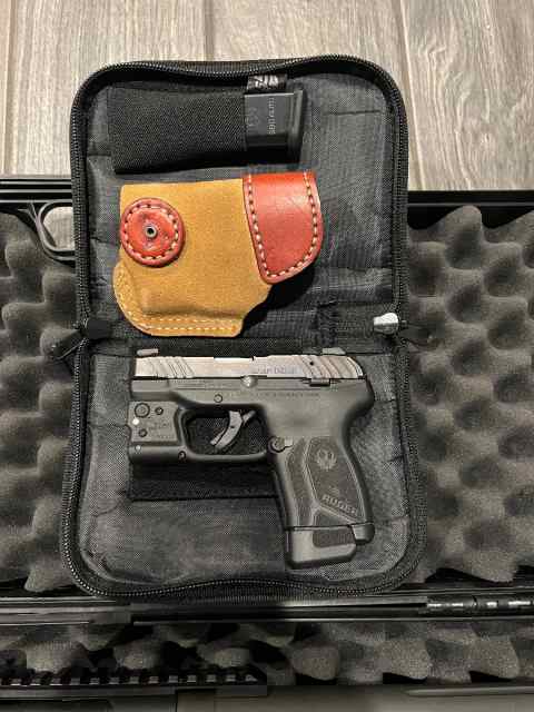 Ruger LCP MAX and Veridian