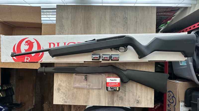 Ruger 10/22 with Magpul X-22 stock 