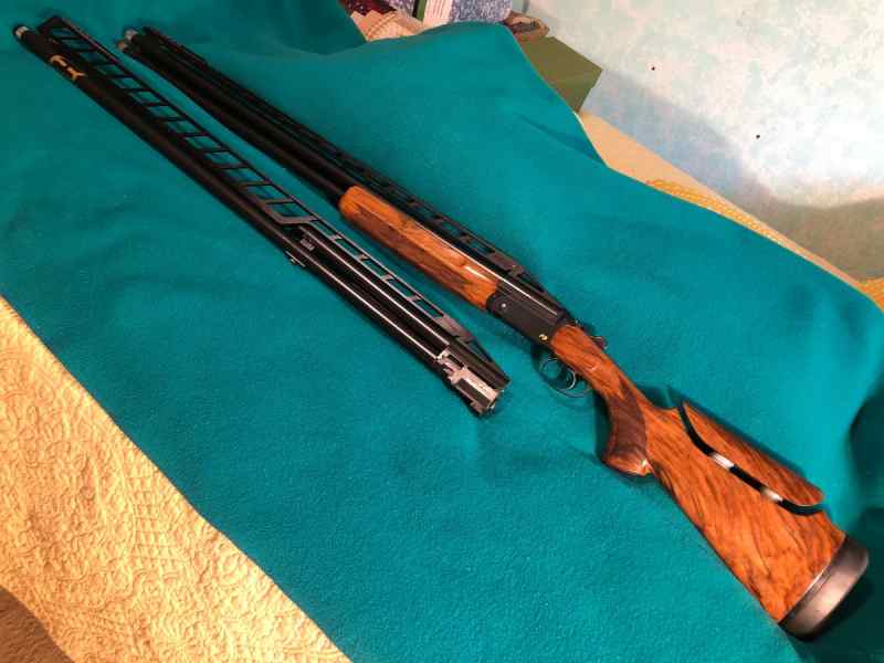 Blaser 1.JPG